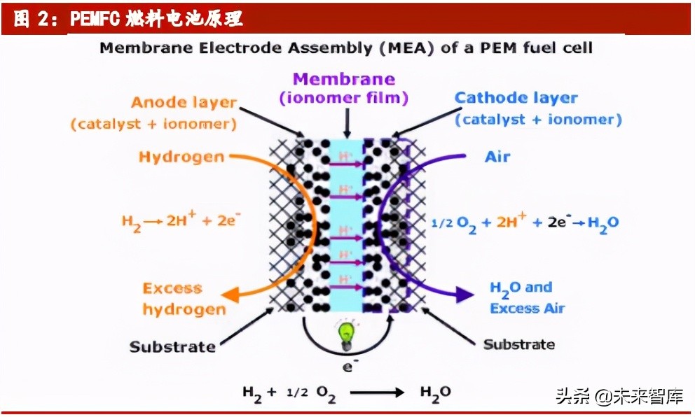 燃料电池行业专题研究报告：碳中和大背景，国产化率加速