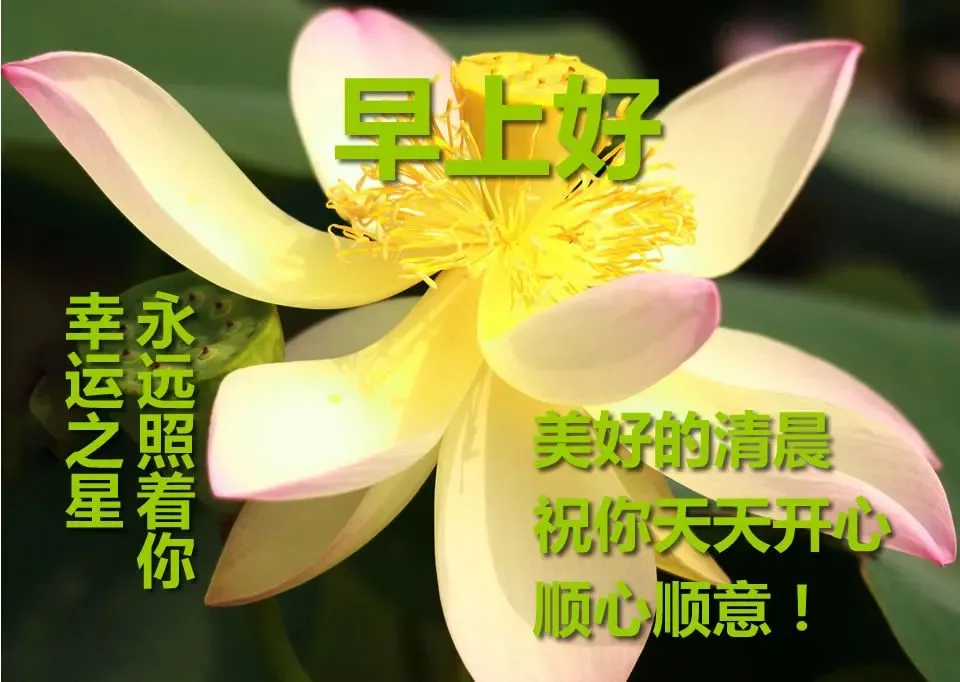 父亲节正能量最赞语录， 感人的父爱祝父亲节快乐图片图片