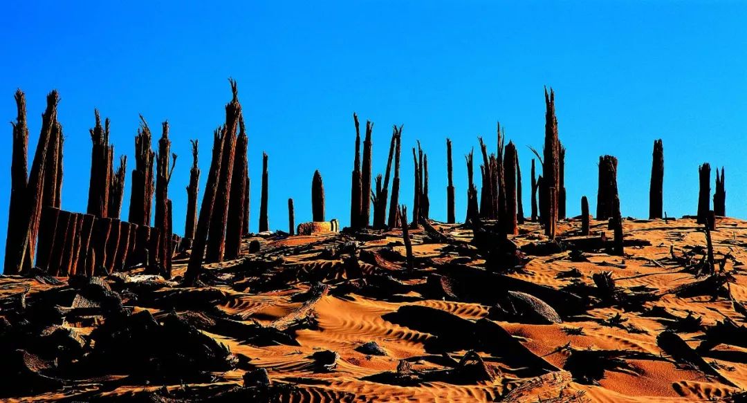 塔克拉玛干沙漠，中国最大的沙漠才不是“死亡之海”！