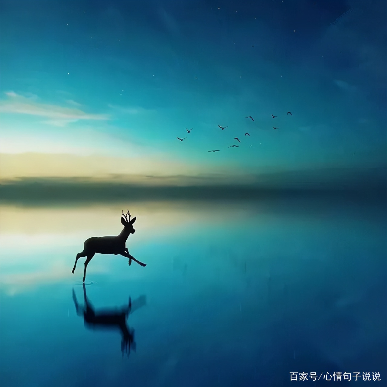 奋斗励志的句子：激励自己努力奋斗的励志短句图片