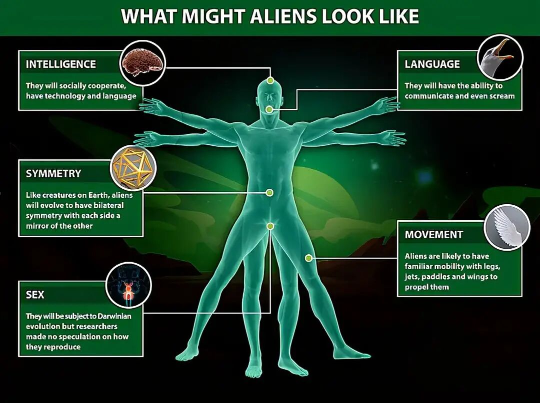 如果真有外星人，他们长什么样？英国科学家称他们或远比人类漂亮