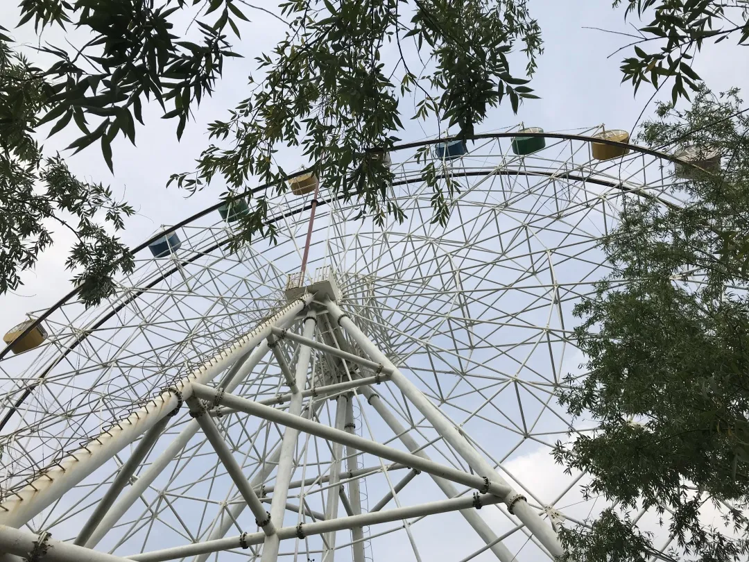 五月天|别样的旅行