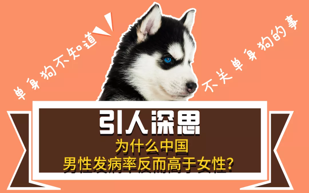 有没有对象都必须要知道的事-第3张图片-农百科 有没有对象都必须要知道的事-第3张图片-农百科