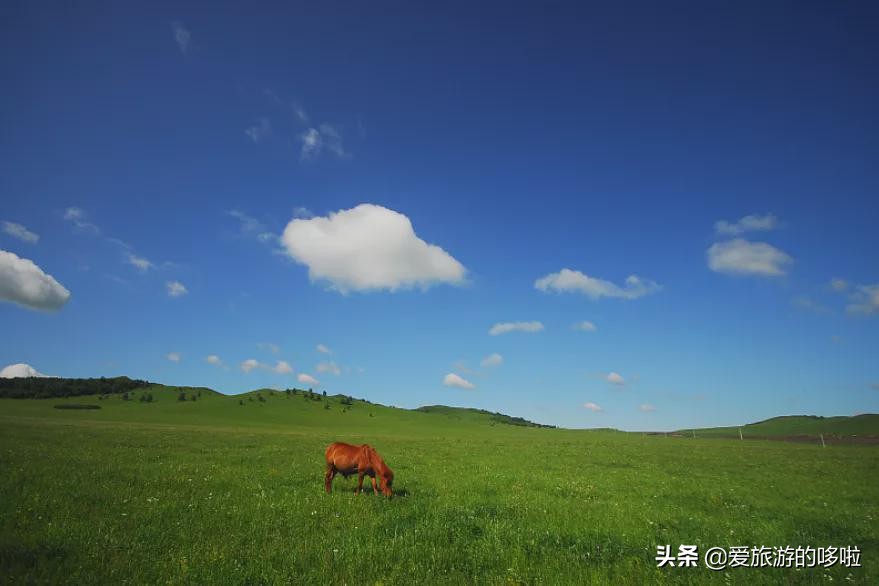 9月最佳旅行地推薦！看遍人間的秋色與美好