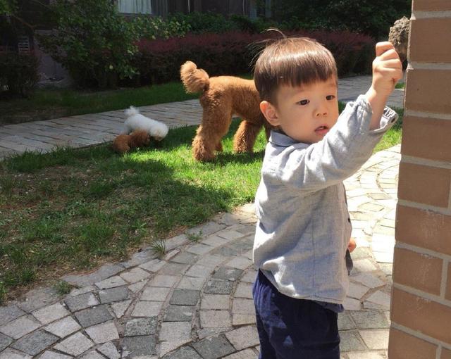 《爸爸回来了》萌娃现状：甜馨淑女，奥莉变样，嗯哼越来越优秀