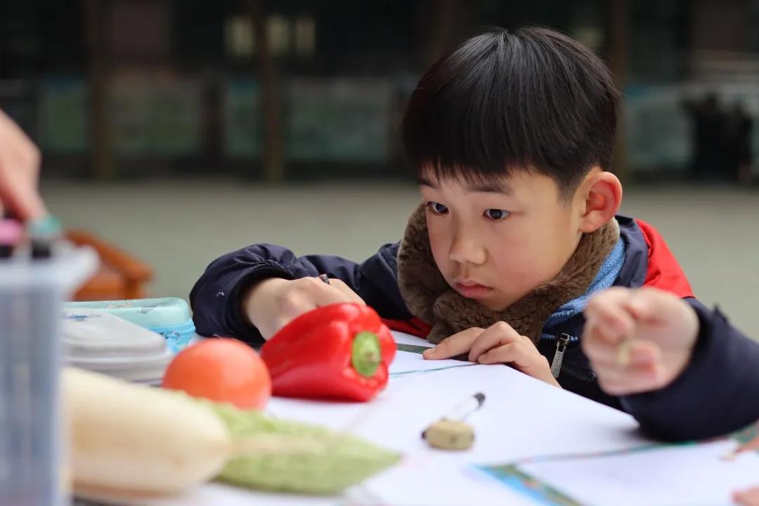 成都市华阳中学附属小学——三年级期末综合素质测评