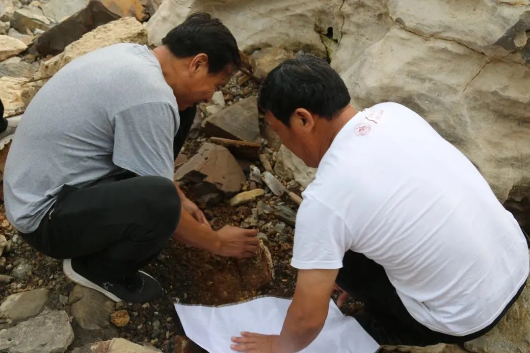 聚焦沂水！“考古中国”重大项目通报