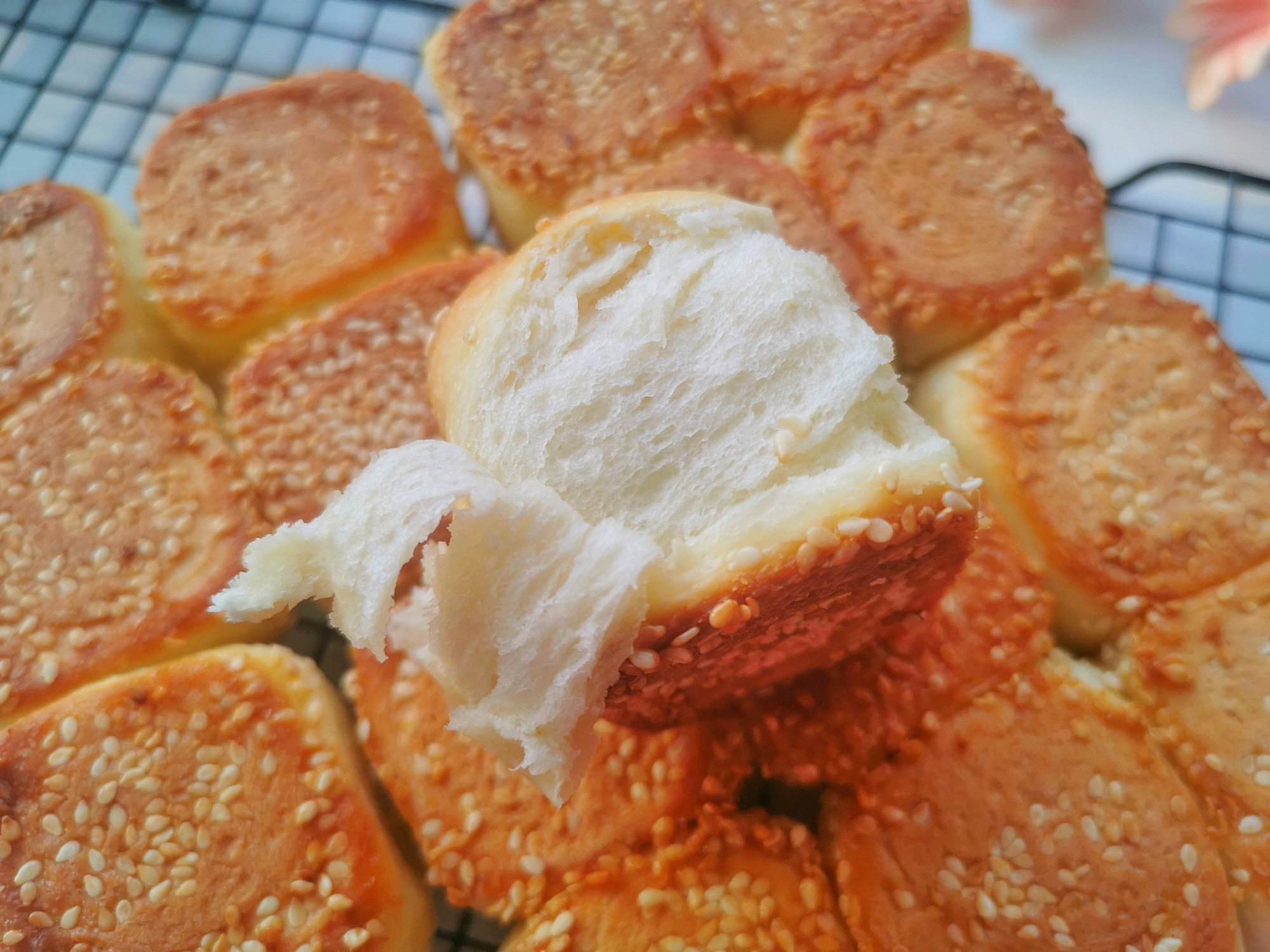 蜂蜜脆底小面包，做法太简单，一次发酵，一周吃3次才过瘾