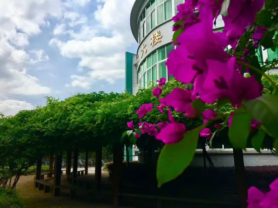 “乘风破浪”的武侯实验，让每一颗优质的种子，骄傲起来