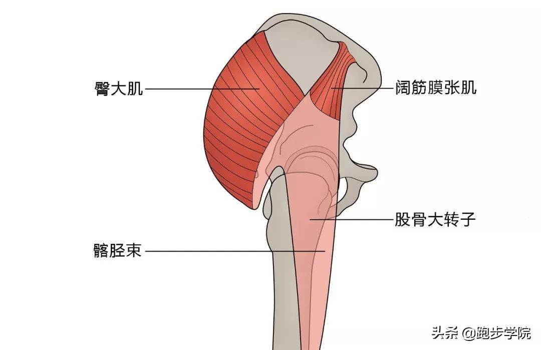 一运动身体就咔咔响，听着都慌
