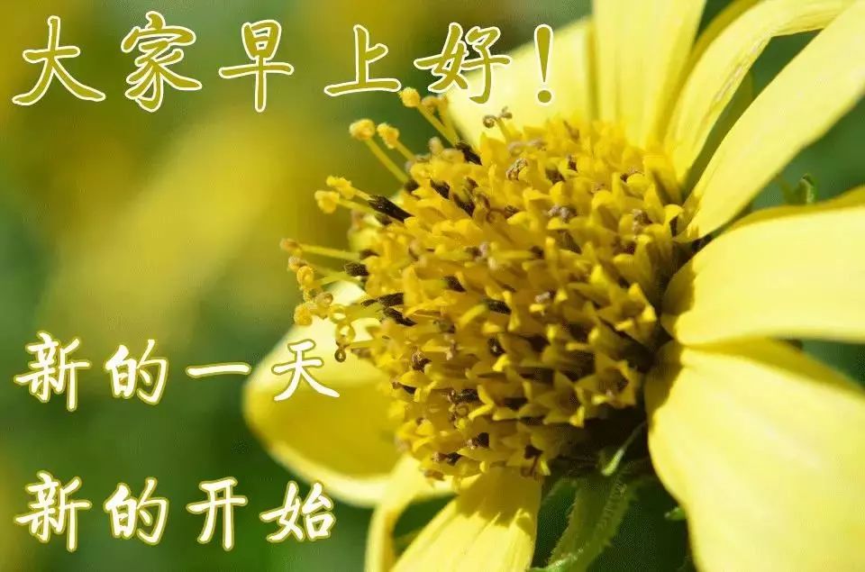 早上好图片大全 最美 漂亮 新版2021图片