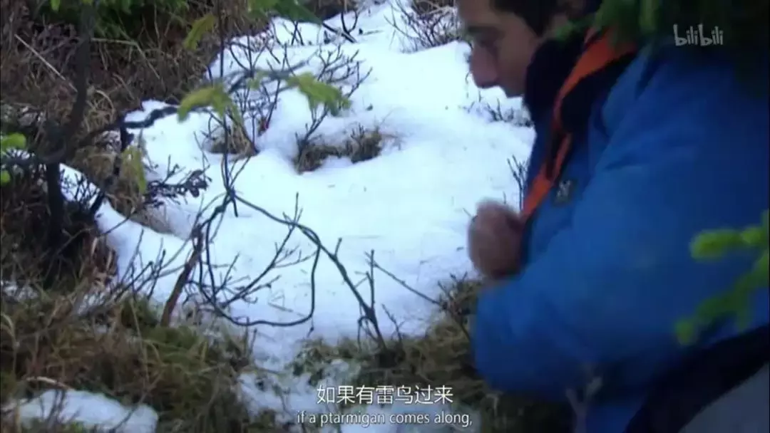 鸡肉味嘎巴脆!盘点《荒野求生》与贝爷的那些梗~