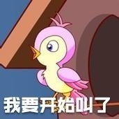 表情|七夕布谷鸟表情包出炉 简直是不给单身狗活路了