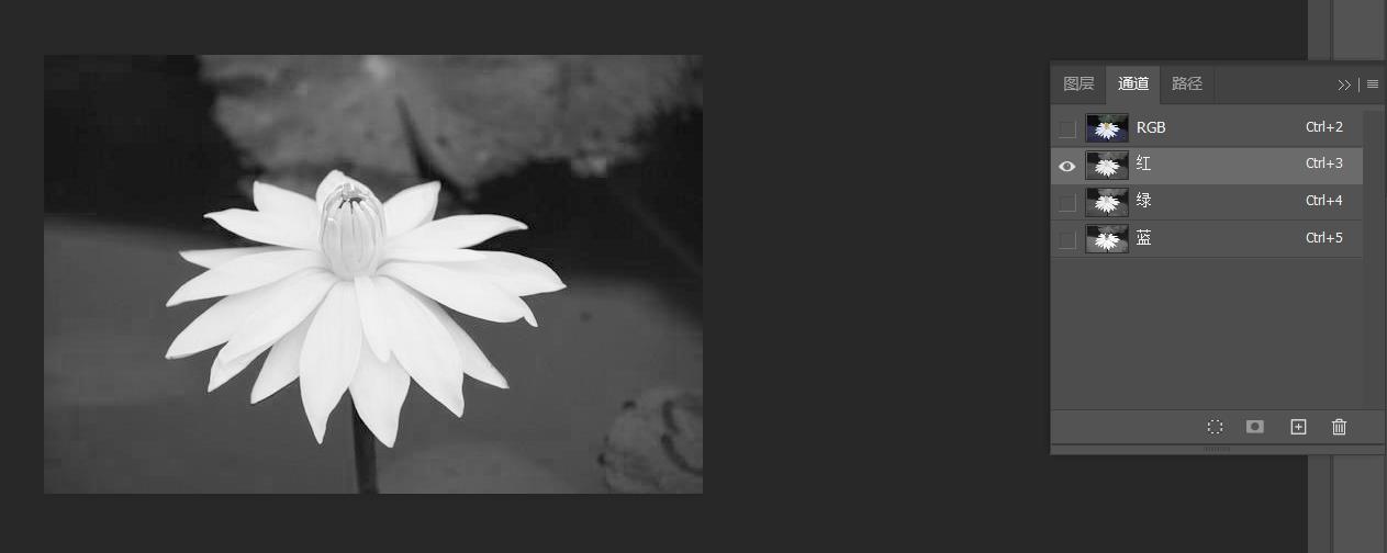 Photoshop通道怎样制作抖音抖动效果