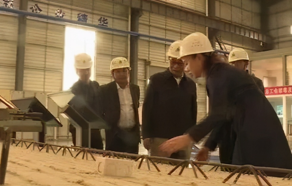 蒋丙生参加市五届人大代表洪江市第二小组活动