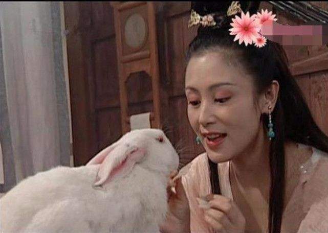 把杨幂一脚踢出剧组，封杀接近陈飞宇的小花，陈红的辣超乎你想象