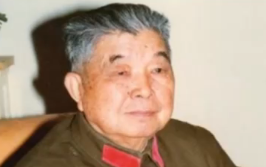 一将军离家出走20余年，建国后回乡接母，却发现