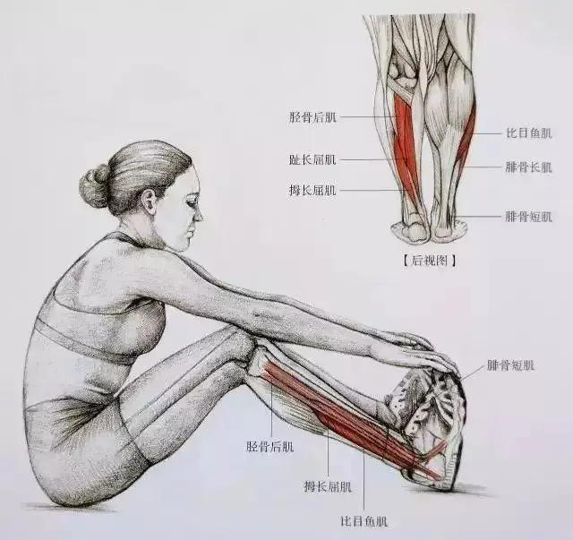 倪妮初中毕业照曝光,眼睛小发际线堪忧,普通