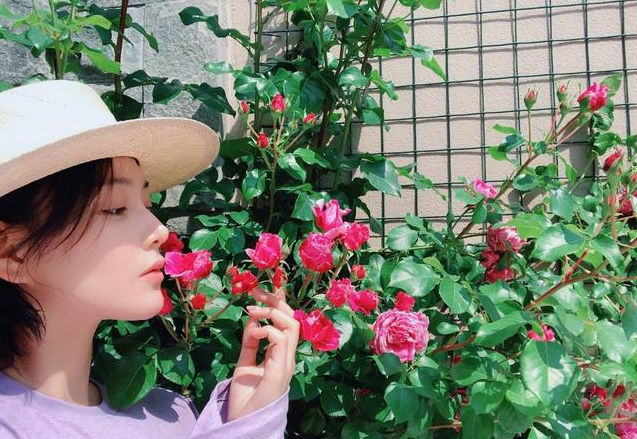 Zhang Xin grants to make " happy farm " , too good life performs good play, autonomic person has much dreariness