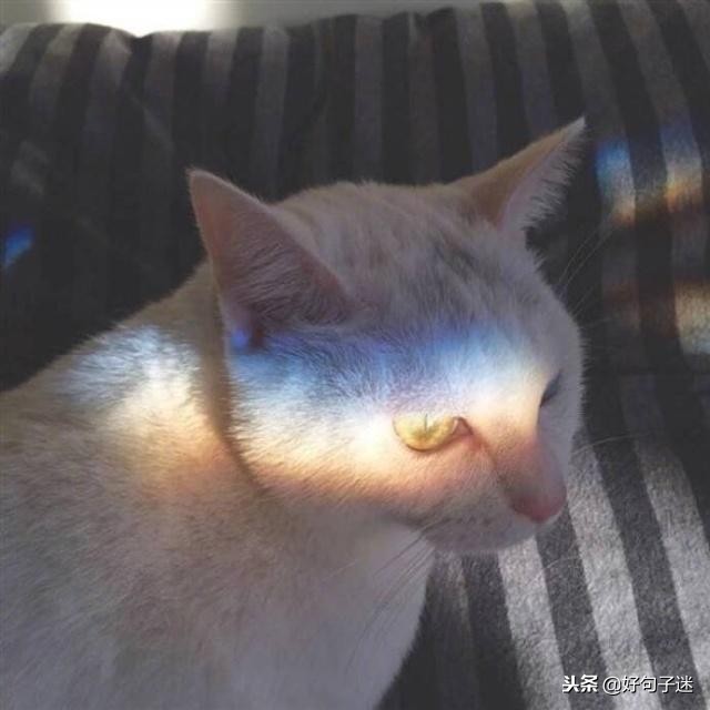 想念一个人的暖心说说 2021朋友圈表达想念的句子图片