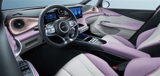 “十万级纯电精品”比亚迪海豚上市