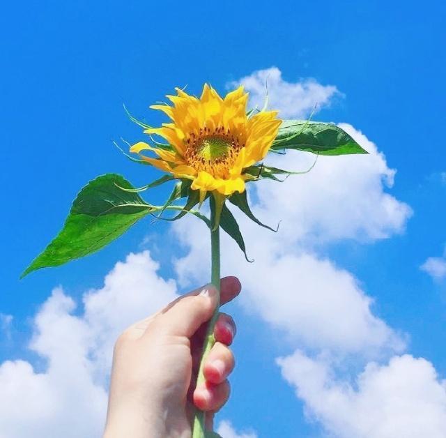 青春语录经典短句唯美励志 不负青春励志唯美短句图片