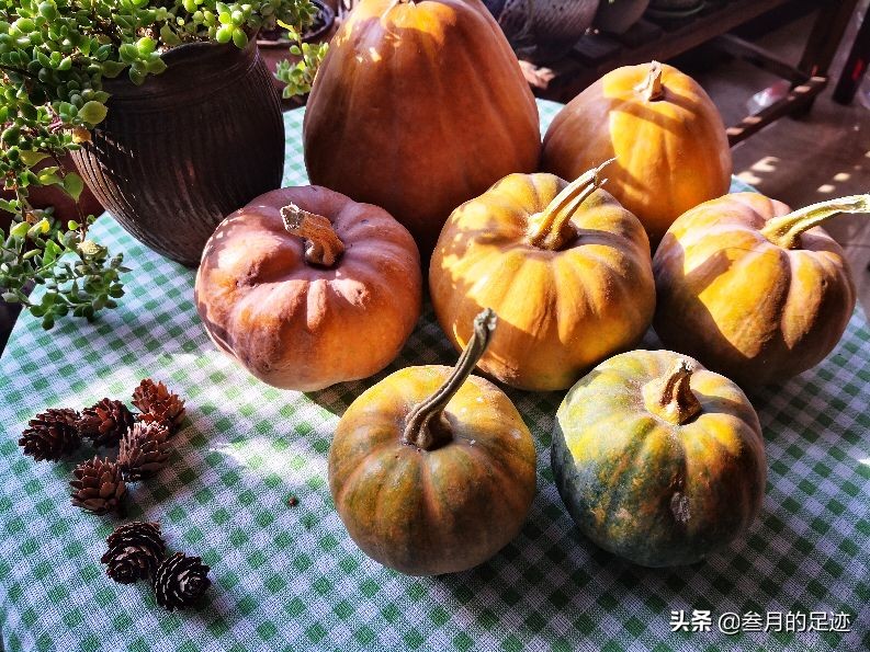 On weekends, check in Shunyi’s free scenic spot, the colorful shallow mountains, the red leaves are beautiful, and there are so many tourists.