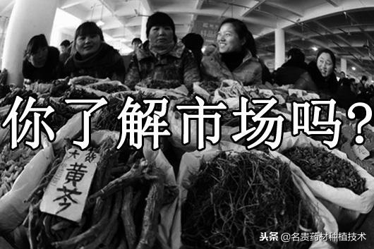 中藥材種植加盟合作，免費(fèi)供種保價(jià)回收，這樣的騙局怎么會(huì)找上你
