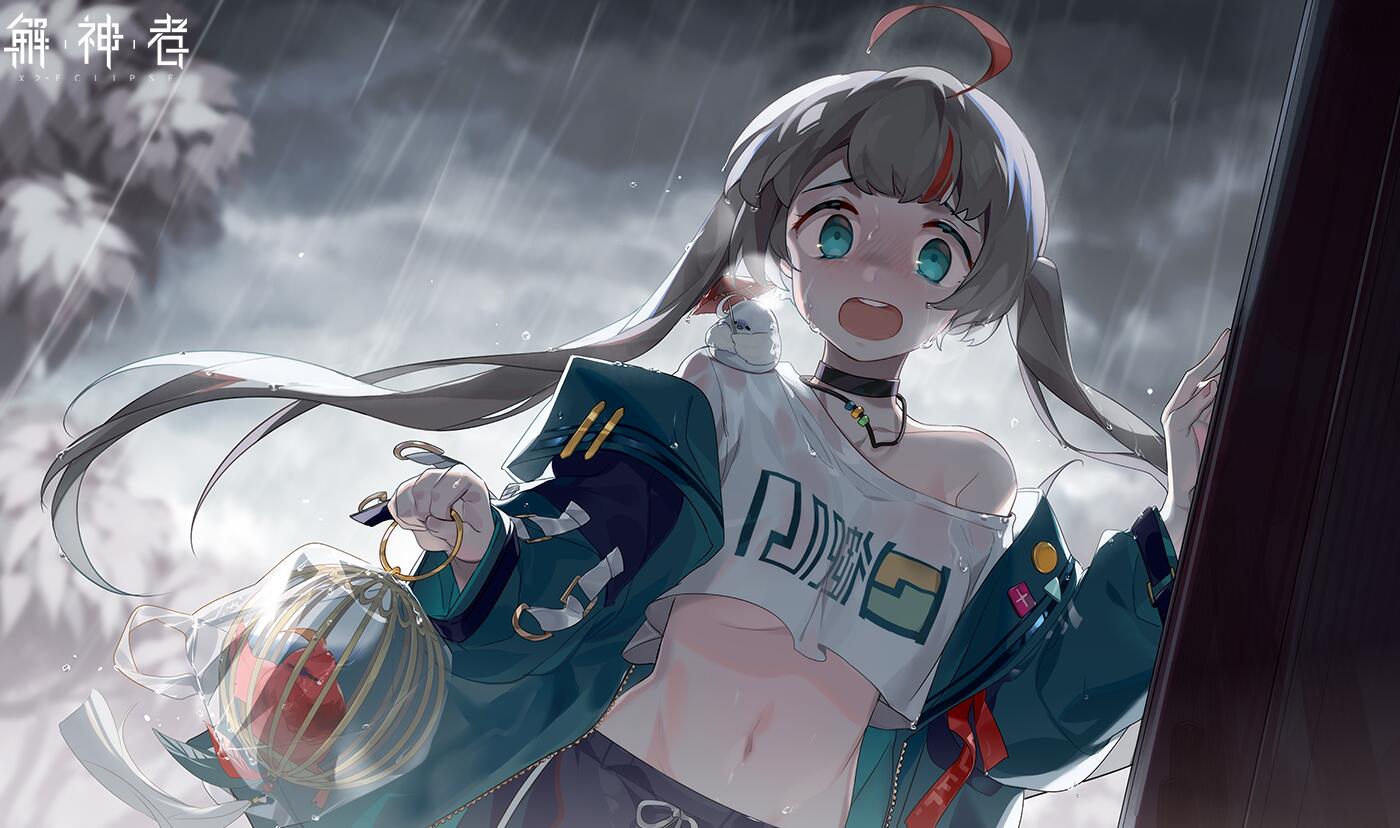 二次元的口味真奇怪，偏愛肉腿妹子，看過解神者的精衛後我懂了