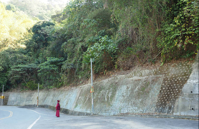 不只�造神�，還怪力亂神！ 民進黨捧陳時中又出新花招