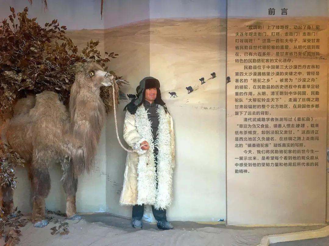 民勤县博物馆专题展《边塞诗史——民勤骆驼客》开展