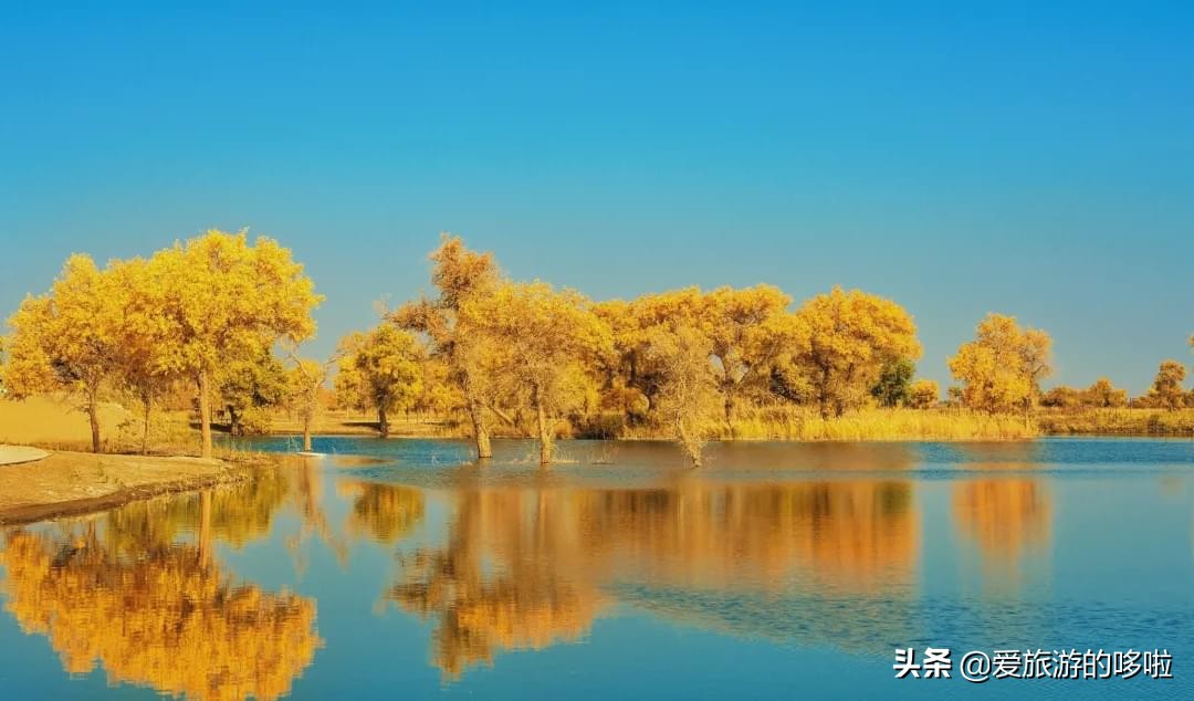 The best place to travel in October-November, the late autumn tour bus is about to depart