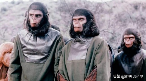 100年前，5名女性为科学献身，和黑猩猩杂交，后来怎么样了？