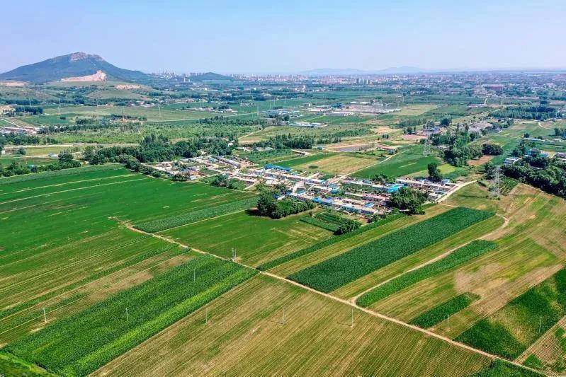 辽宁通报15起乱占耕地建房典型案例