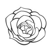 半山食集｜涵碧楼顶厨团队入驻，开启舌尖世界环球之旅