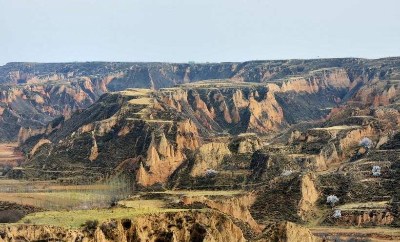 本是同根生，相煎何太急，战国时期秦国征服赵