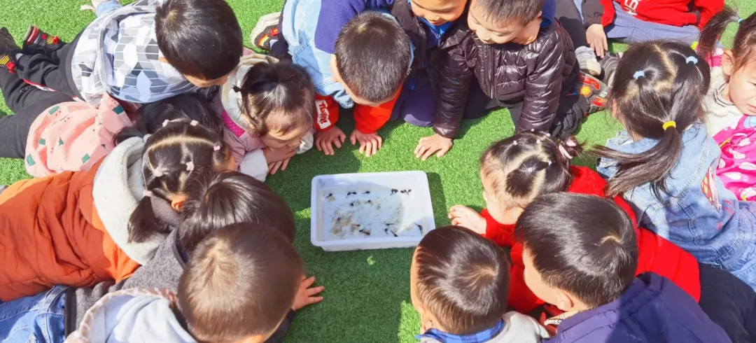 拥抱春天——四川天府新区华阳幼儿园小四班主题活动