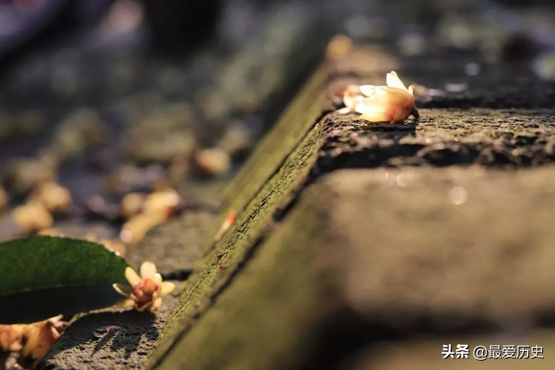 世间最动人的爱情全在里面了-第7张图片-非凡网
