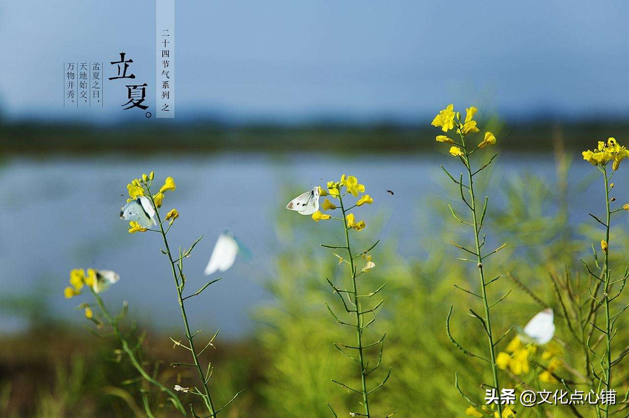 50句唯美夏日古诗，静待流年-第2张图片-非凡网