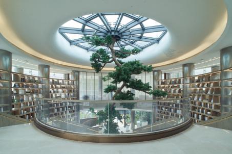 成都首个"沉浸式图书馆"概念售楼部惊艳亮相