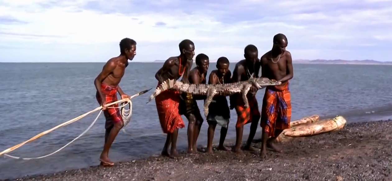 只吃鱼的非洲部落，没鱼就捕杀鳄鱼吃，从不吃其他的