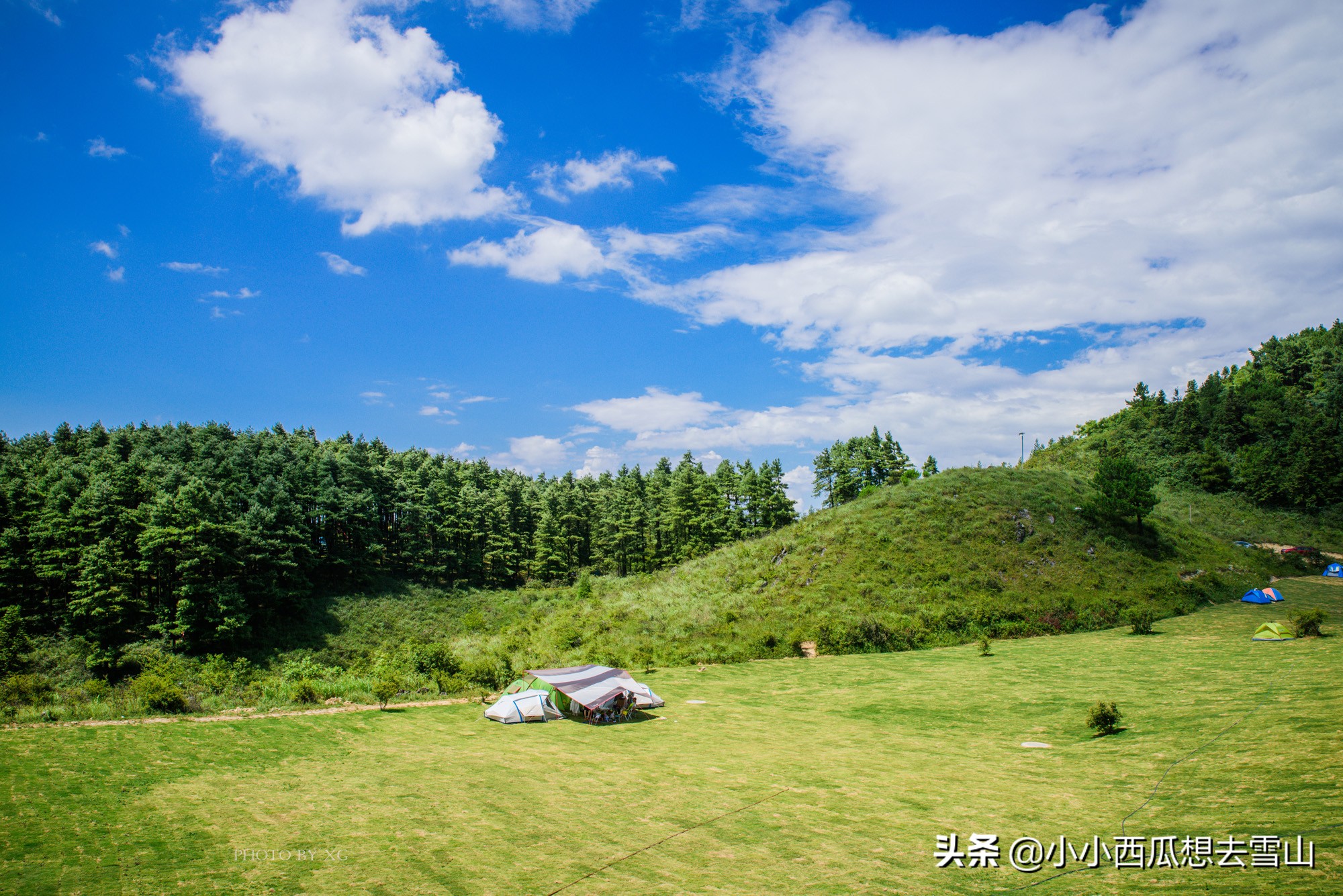 重庆不能错过的最美草场，夏季绝佳的避暑胜地