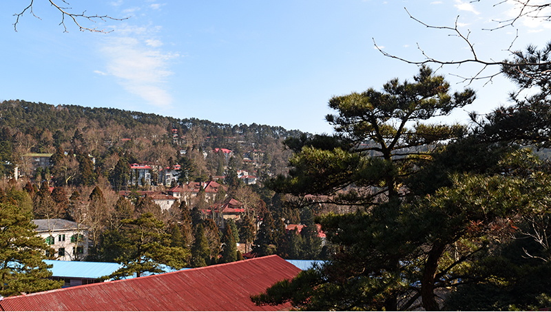 中国唯一因英文命名的镇：要花250元才能进镇，