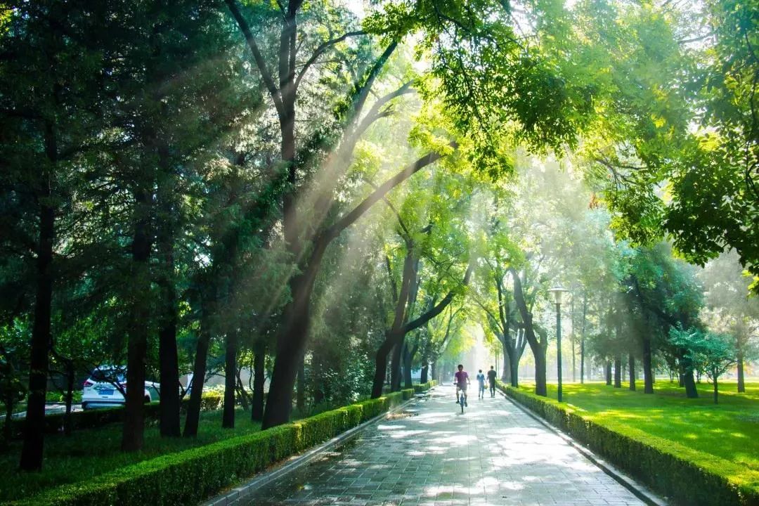 这些大学太美了！网友哭着想重回高考，你最喜欢哪一个？