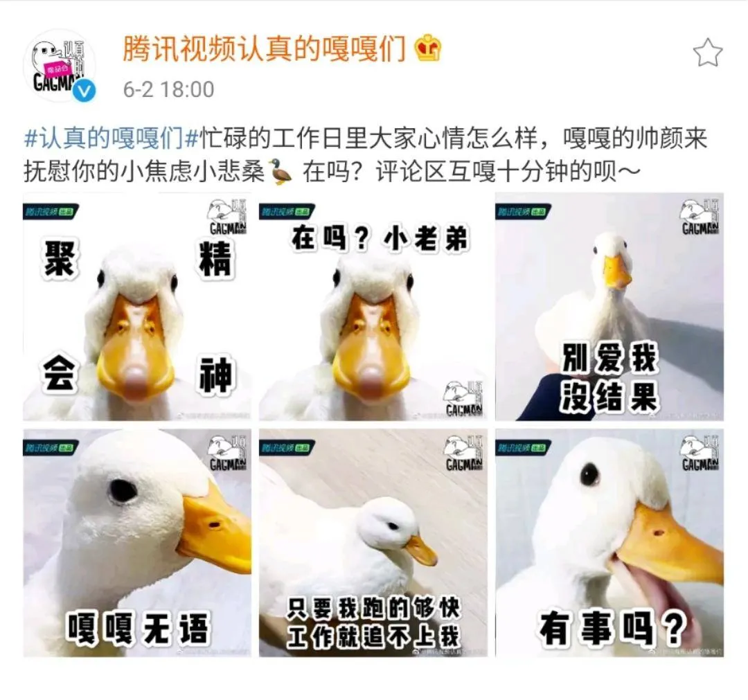 搞笑也能成团出道，这是在搞笑吗？