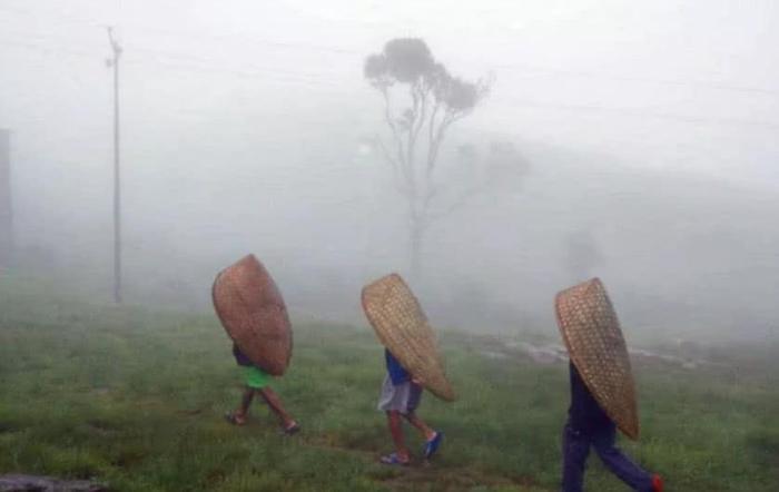 世界最潮湿的地方，一年365天都在下雨，当地人