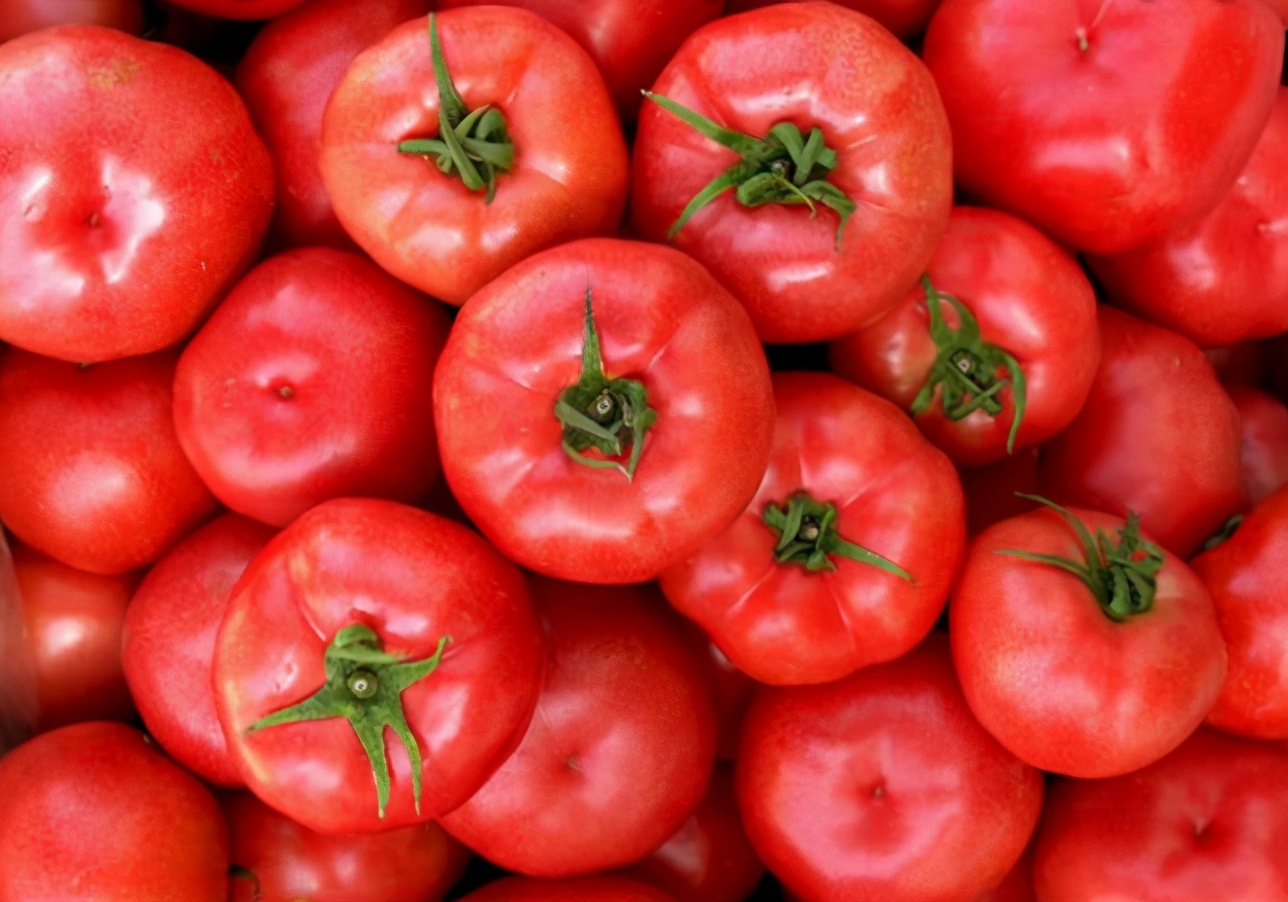 图片[5]-分辨催熟西红柿的小妙招-起舞食谱网