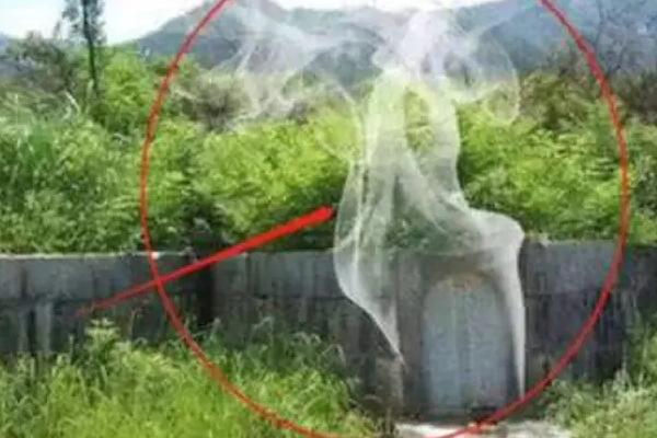 湖北老农家里祖坟冒青烟，专家立刻挖开检查，