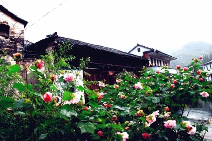 明代国师刘伯温风水杰作，浙江俞源古村 中国唯一的太极星象村