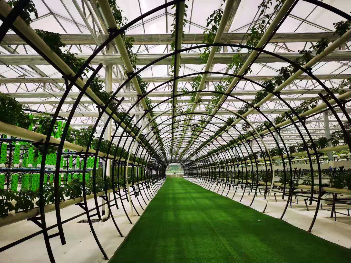 临沂市组织参加鲁喀农业项目考察交流活动